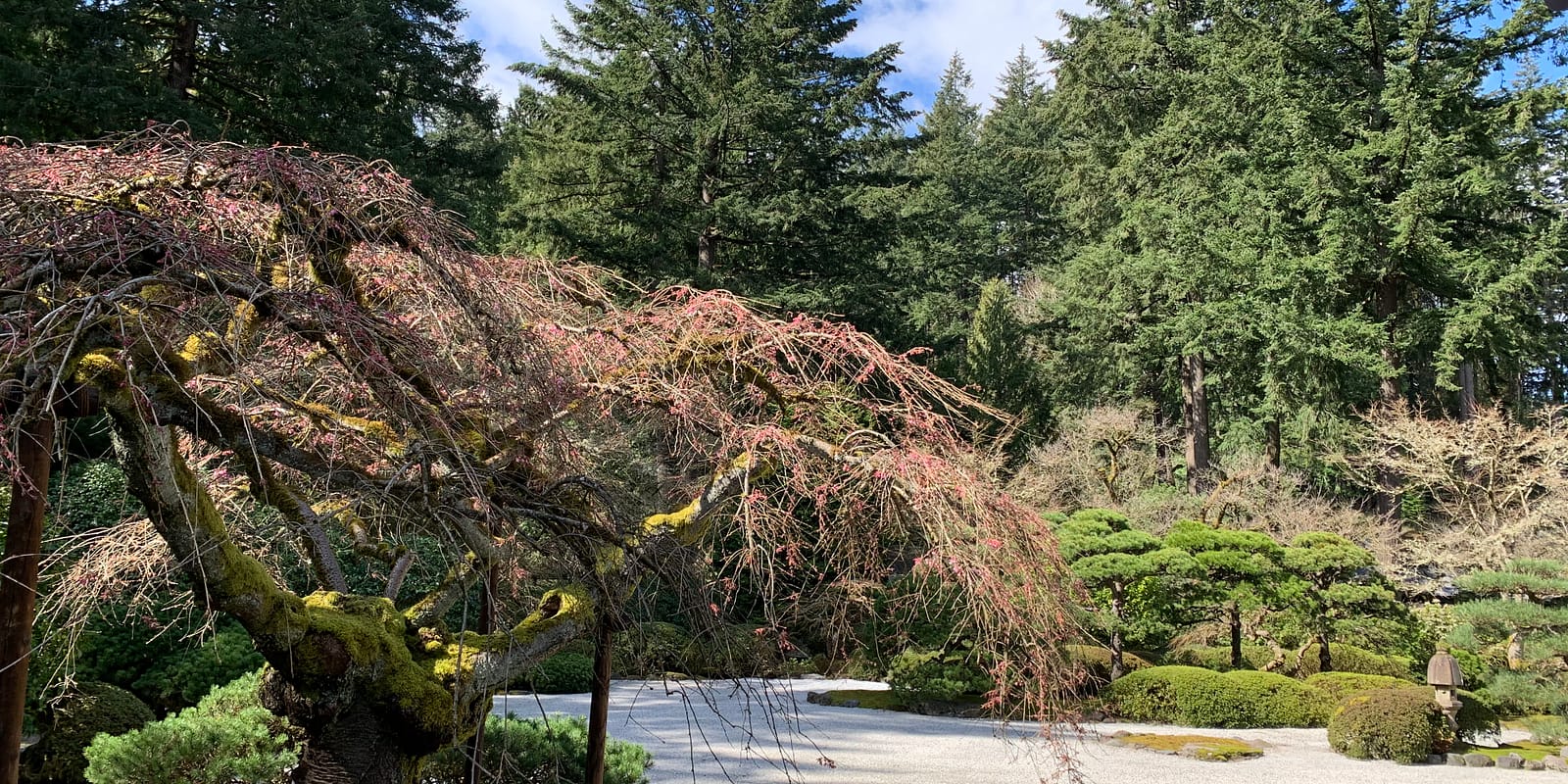 Photo Mar 23, 12 07 37 PM