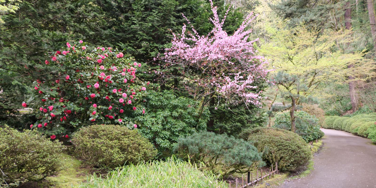 Julia Taylor_April 2017_Web_IMG_5001