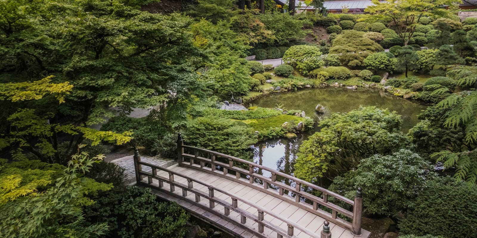 Moon-Bridge-edit-web