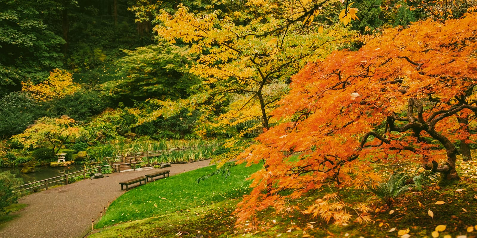 Marketing_HQ-Images_OCT-2025_Lower-Pond-1_Final-2