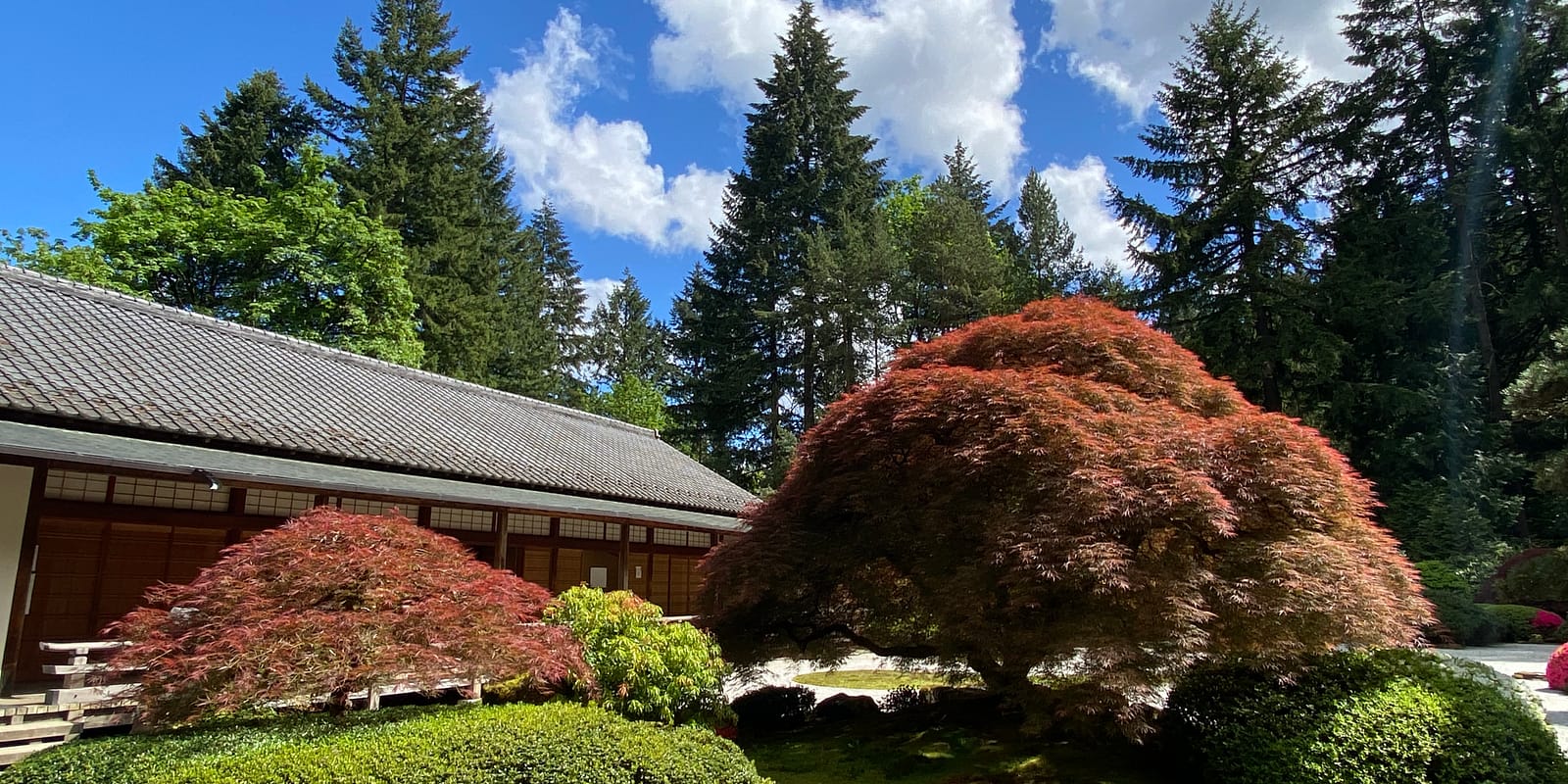 Photo May 07, 3 03 04 PM