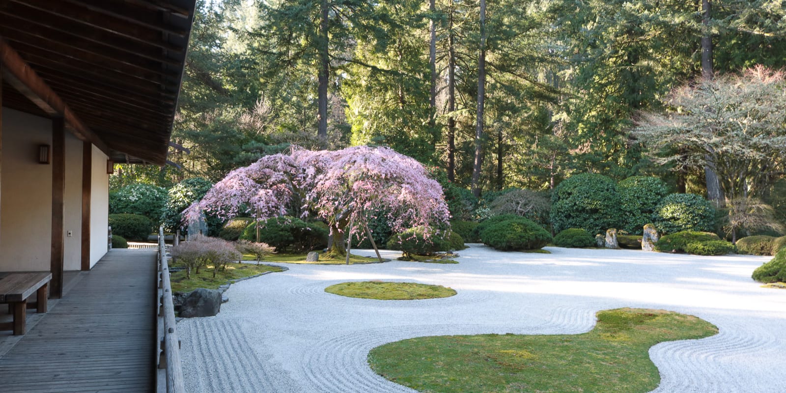 LR_Julia Taylor_Portland Japanese Garden_March 20, 2018_IMG_4291