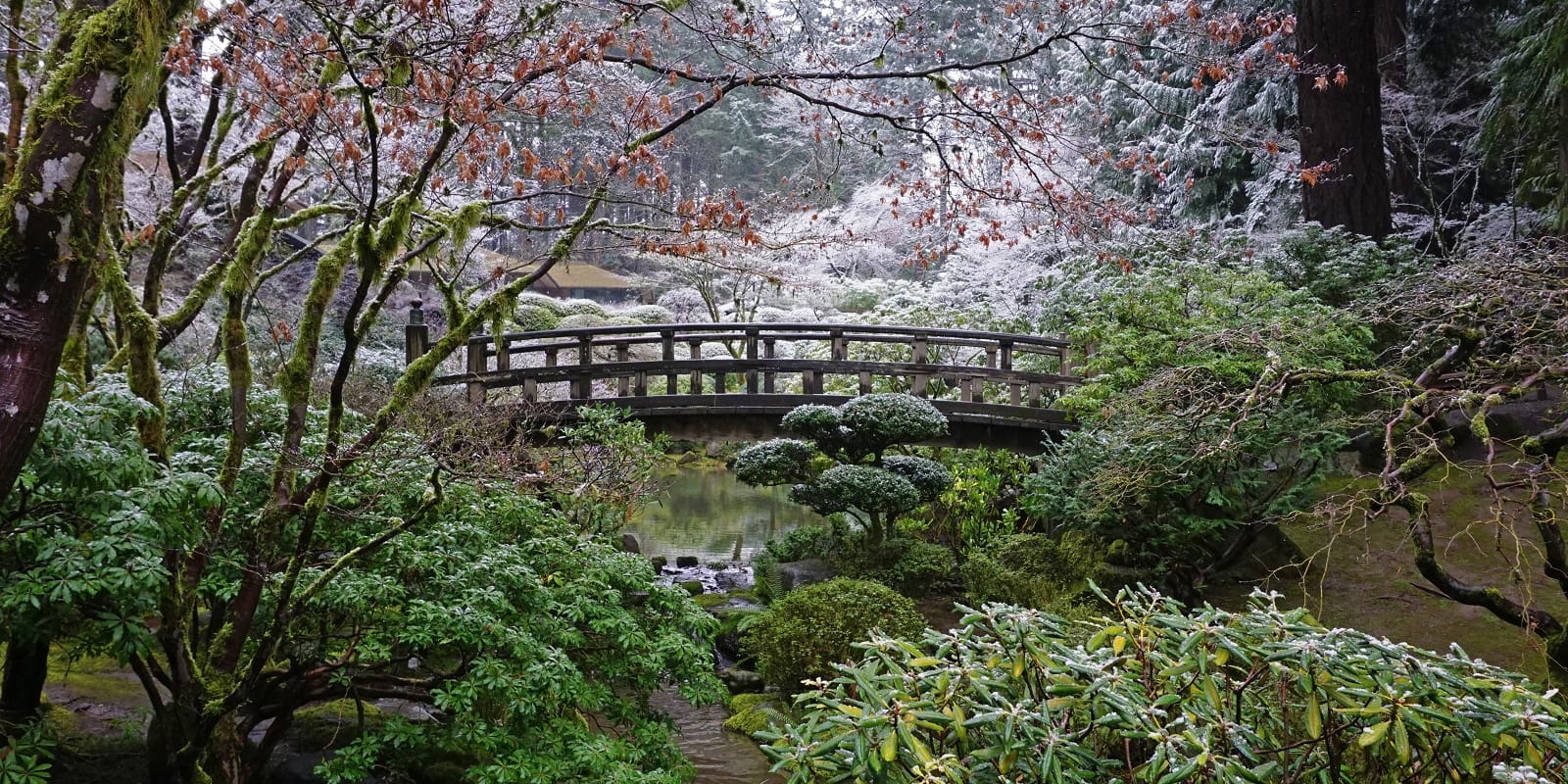 Garden with Snow in Winter. Photos by Tyler Quinn - 2019-02-04 - DSC02139