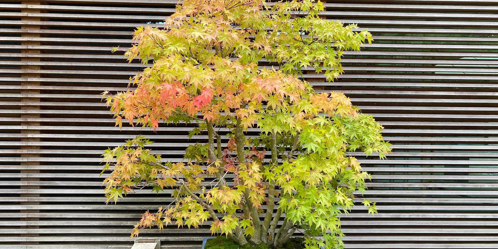 Photo Oct 17, 3 22 29 PM