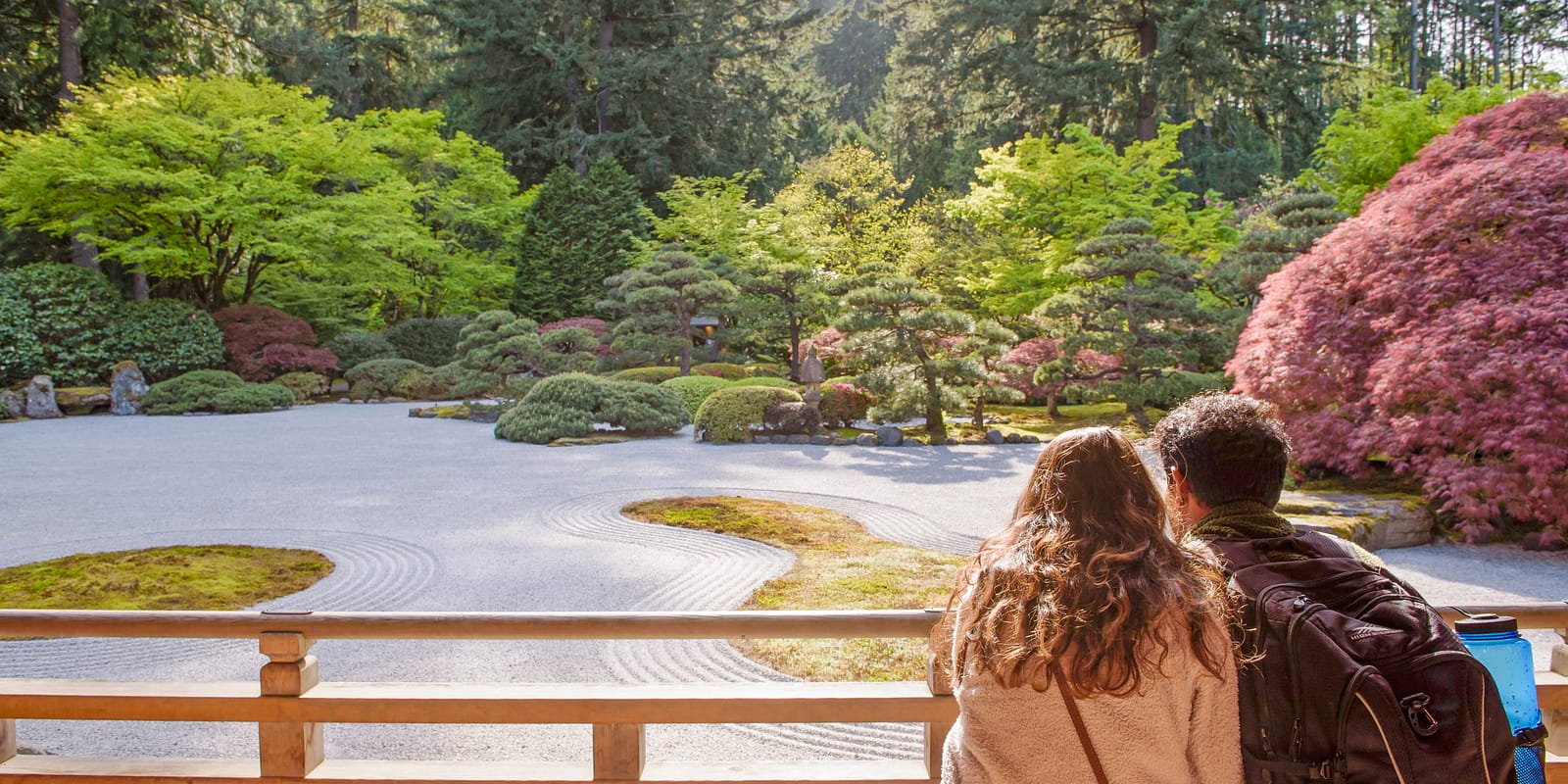 Late Spring Early Summer. Photos by Nina Johnson - 2019-northern-lights-high-008-8142