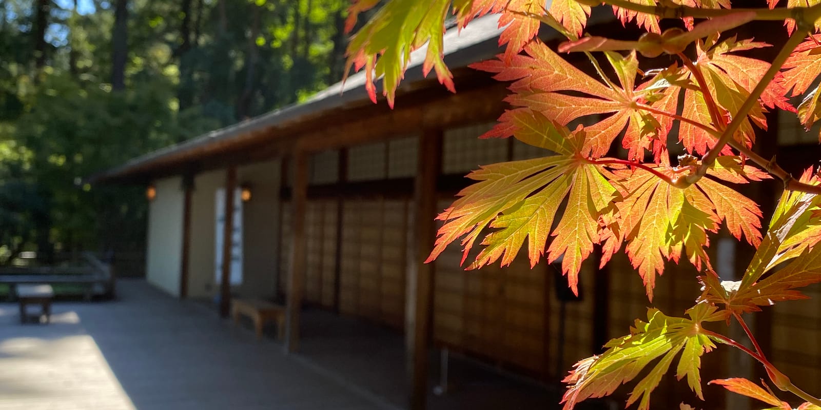 Photo Sep 29, 1 13 18 PM