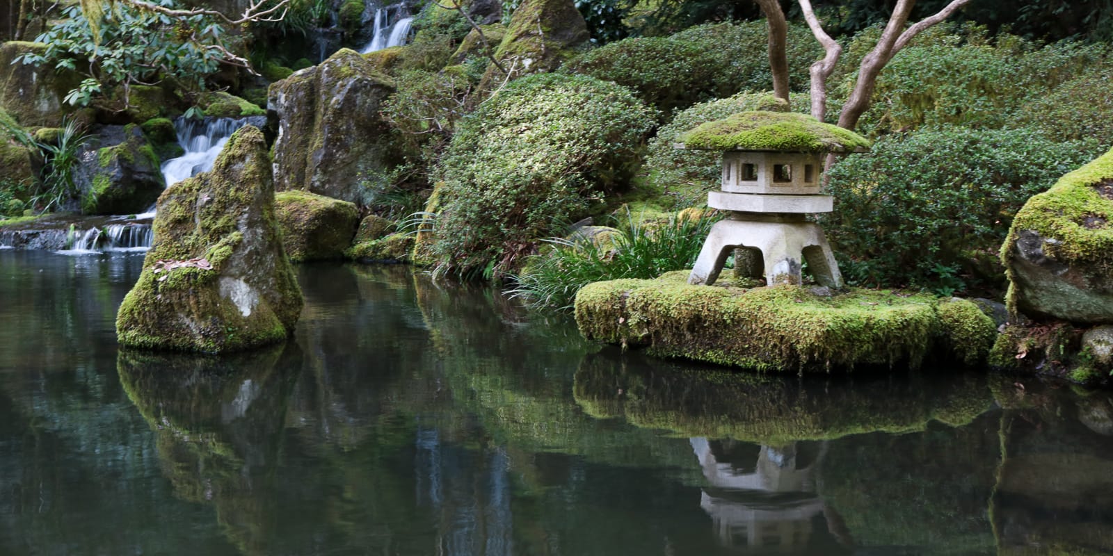 Julia Taylor_LR_Portland Japanese Garden_March 2018_IMG_3889