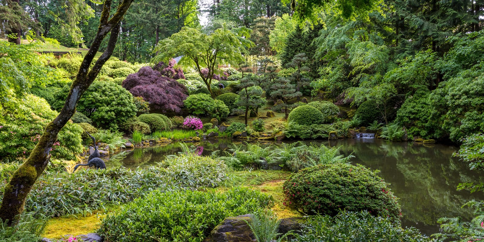 16x9 - Upper pond in Late Spring Early Summer. Photo by Mike Centioli