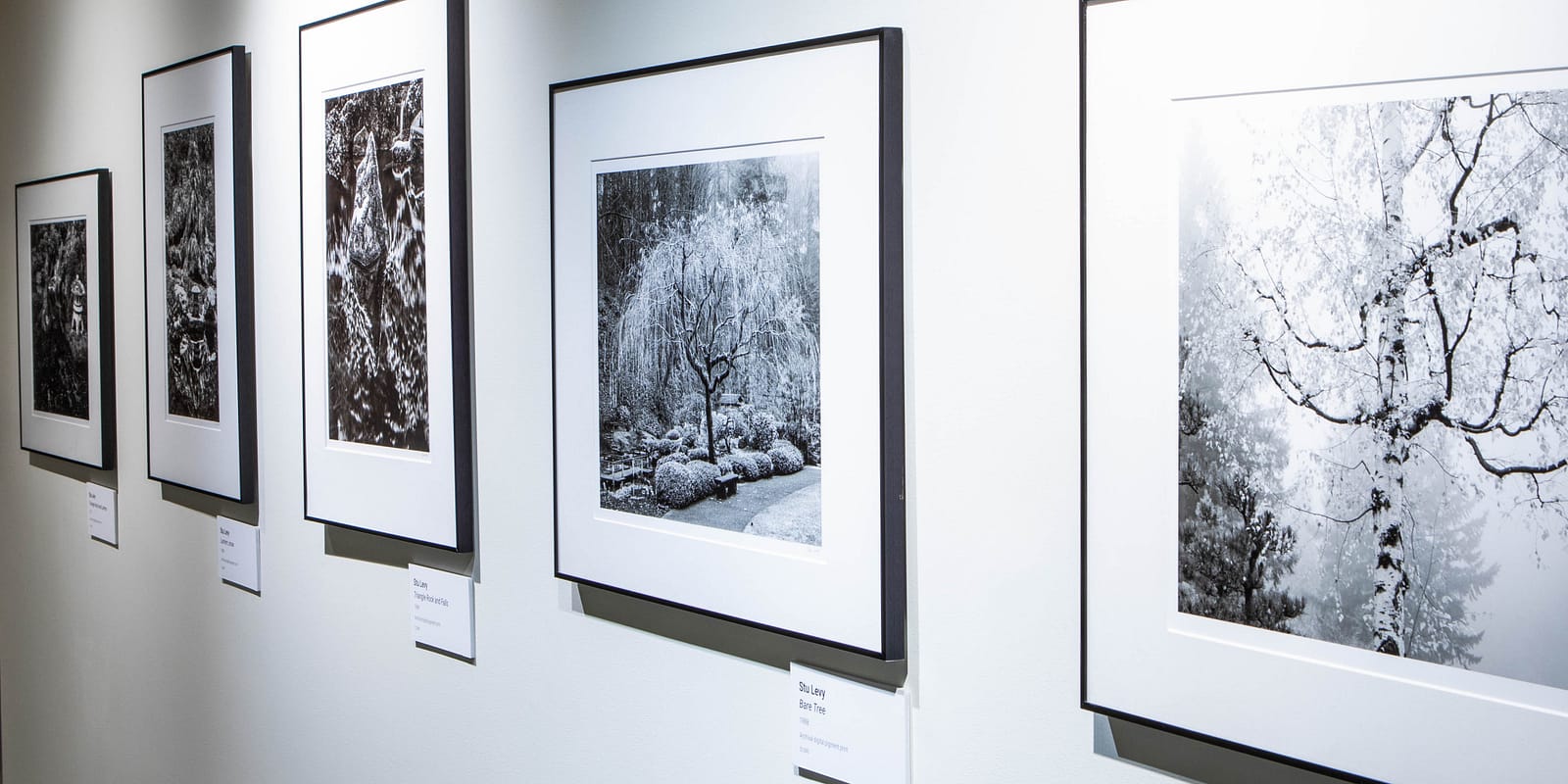 2026_01_06_DesigningNature_PhotobyJonathanLey (26) copy