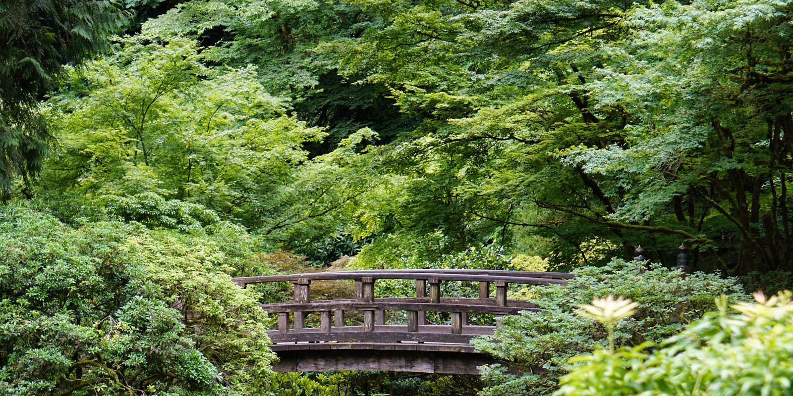 MicrosoftTeams-image-11