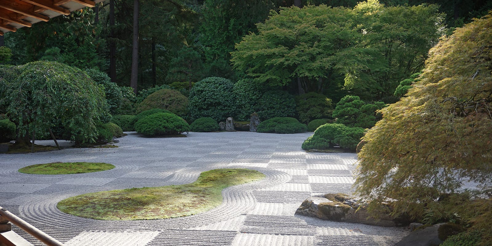 DSC00881_Fall for web