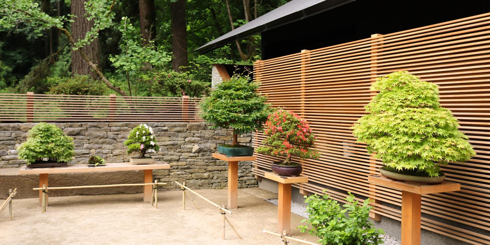 Julia Taylor_June 2017_LowRez_IMG_7316