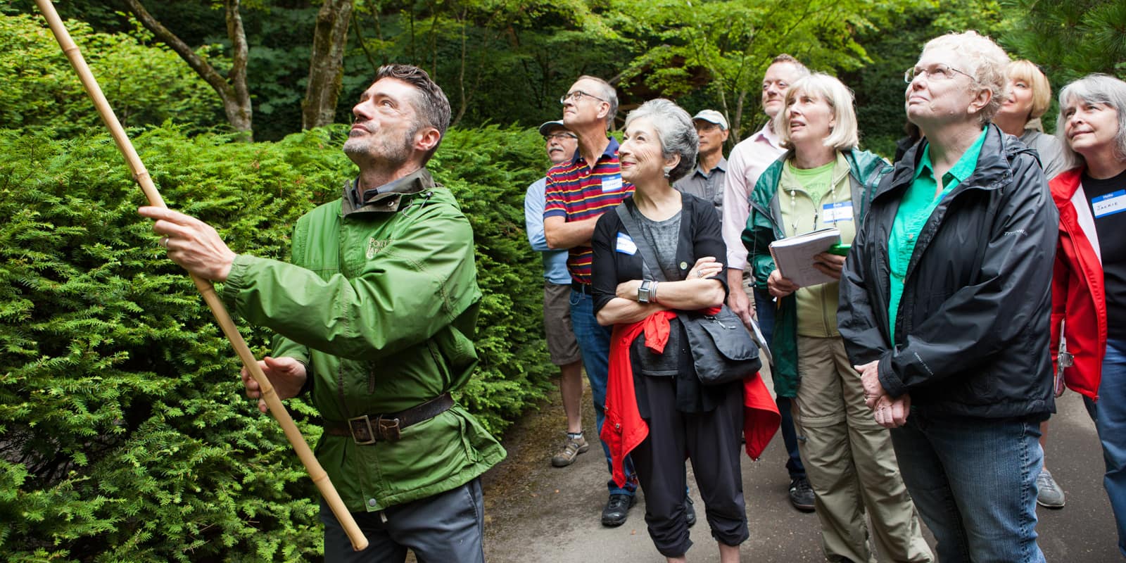 Maple Pruning Workshop - 0001-01-01 - 17077_92d509b216628c5