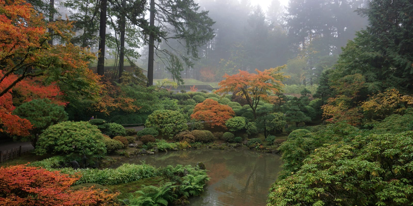 Fall Color Photos by Tyler Quinn - 2017-10-23 - DSC06778