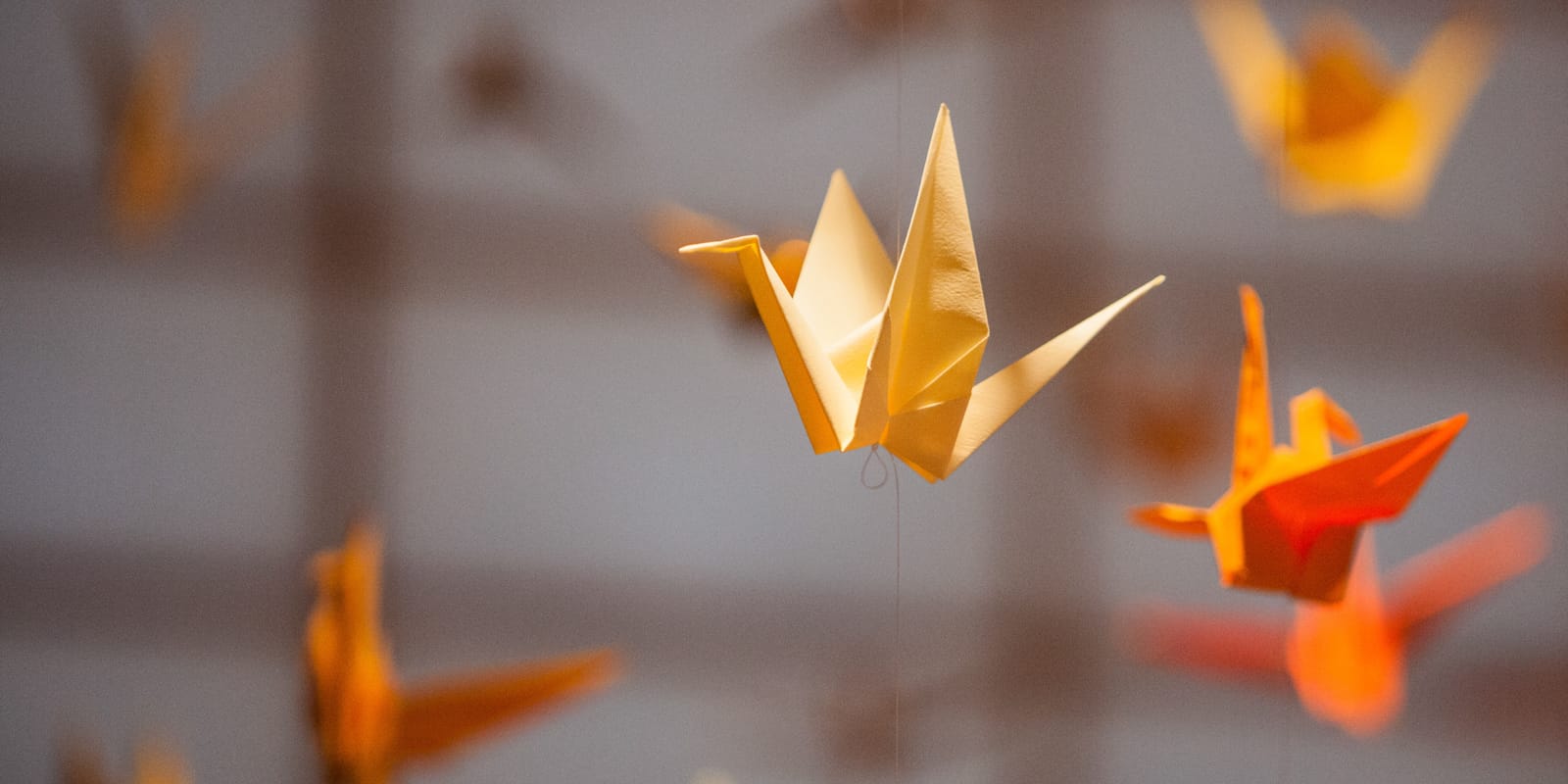 night-of-1000-cranes