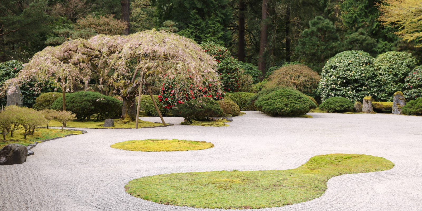 Julia Taylor_April 2017_Web_IMG_5007