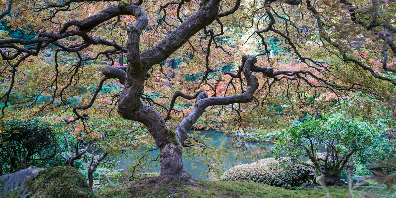 Fall Colors (LR)-20191015- by Chris Ruggles-6