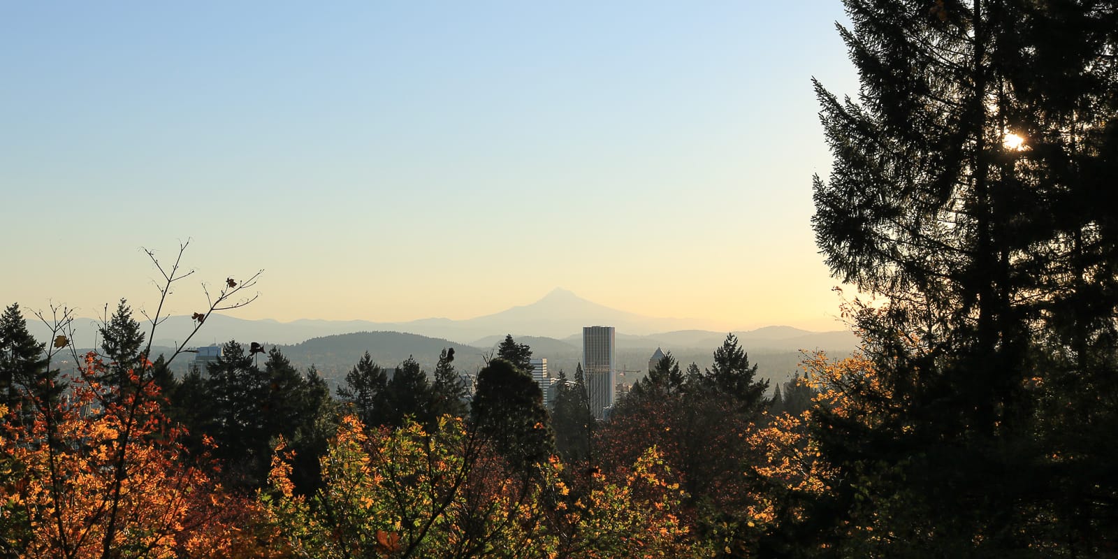 LR_Portland Japanese Garden_Fall_Julia Taylor_IMG_1598