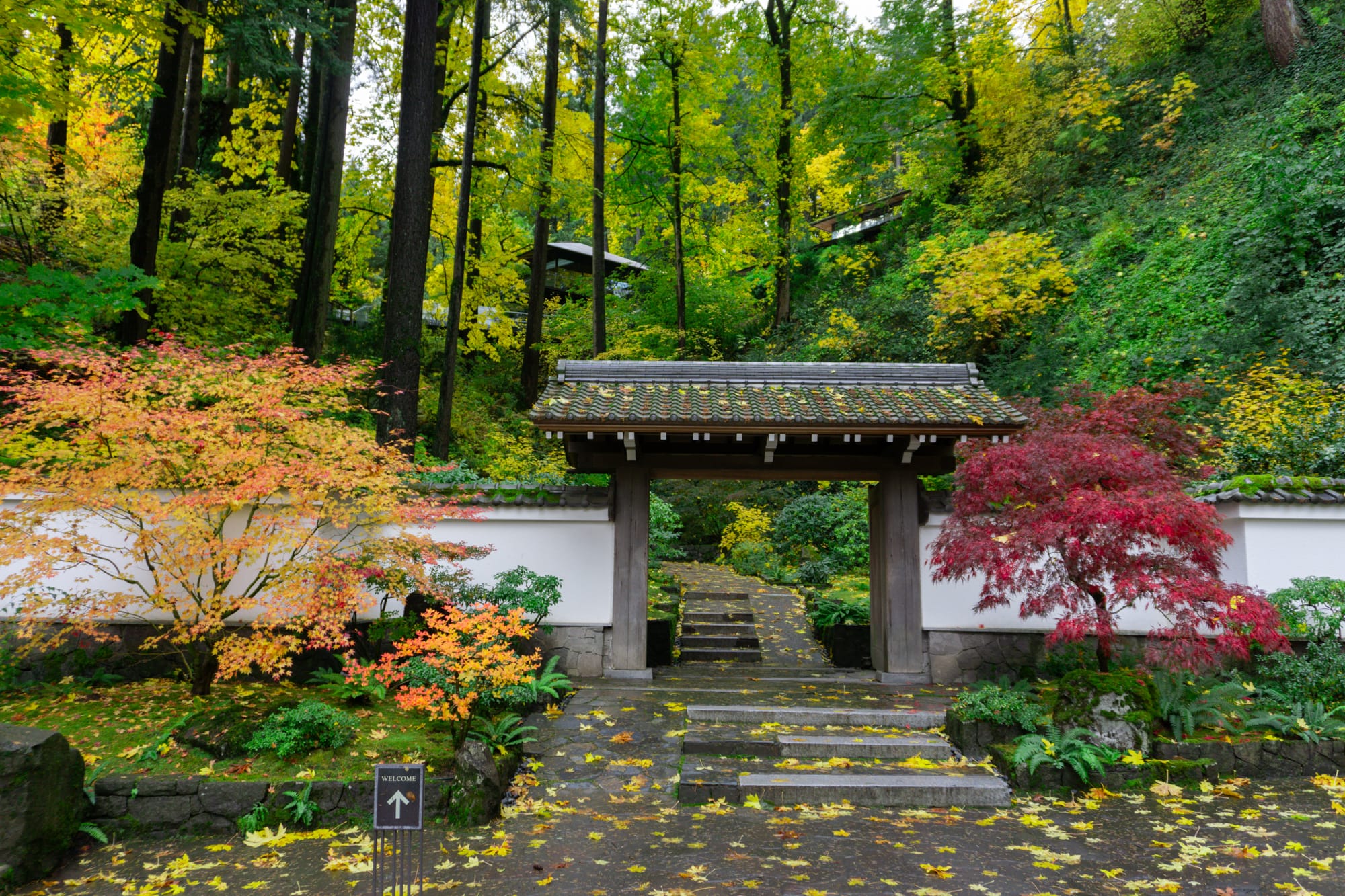 Extended Member Hours