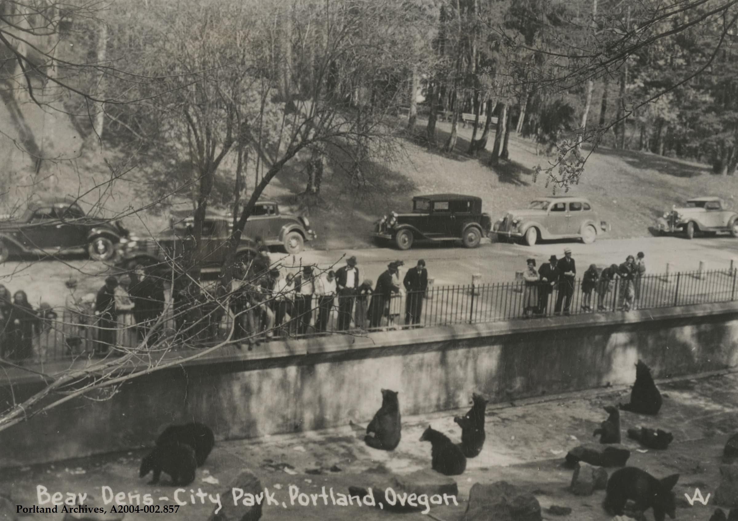 A black and white photo of the old Portland Zoo, specifically a bear pit where a waterfall today flows.