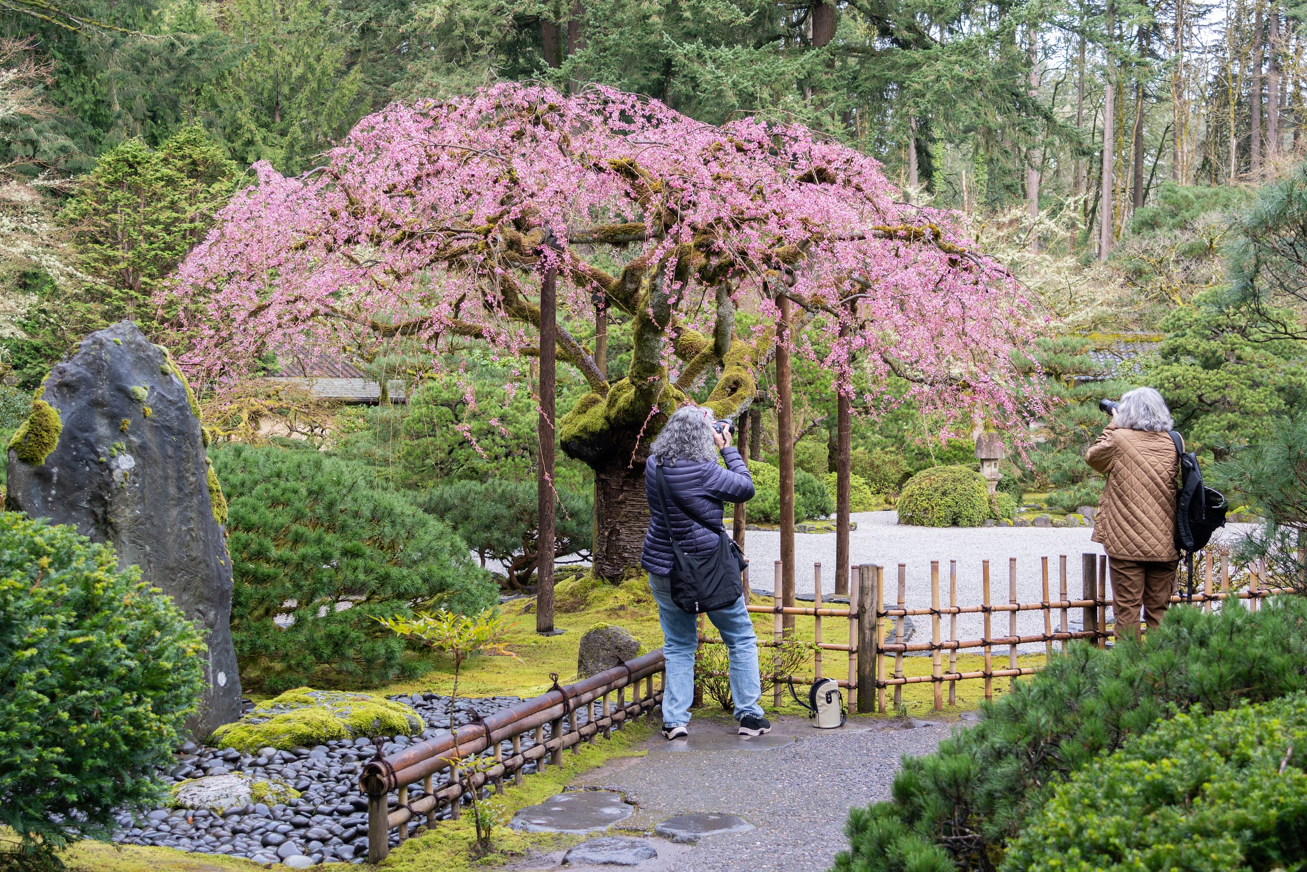 Photographer Member Hours