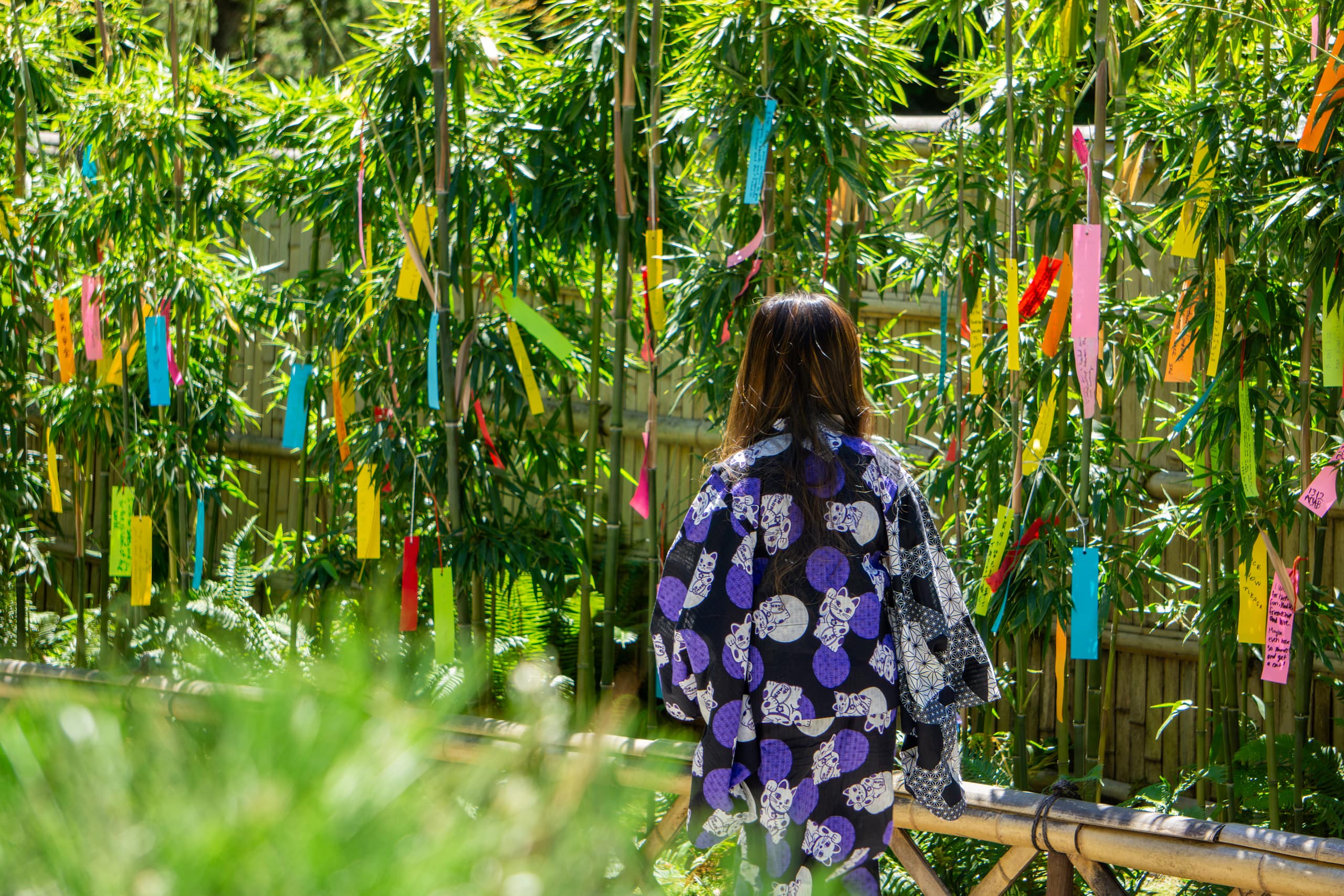 a girl in a kimono with her back turned to the camera