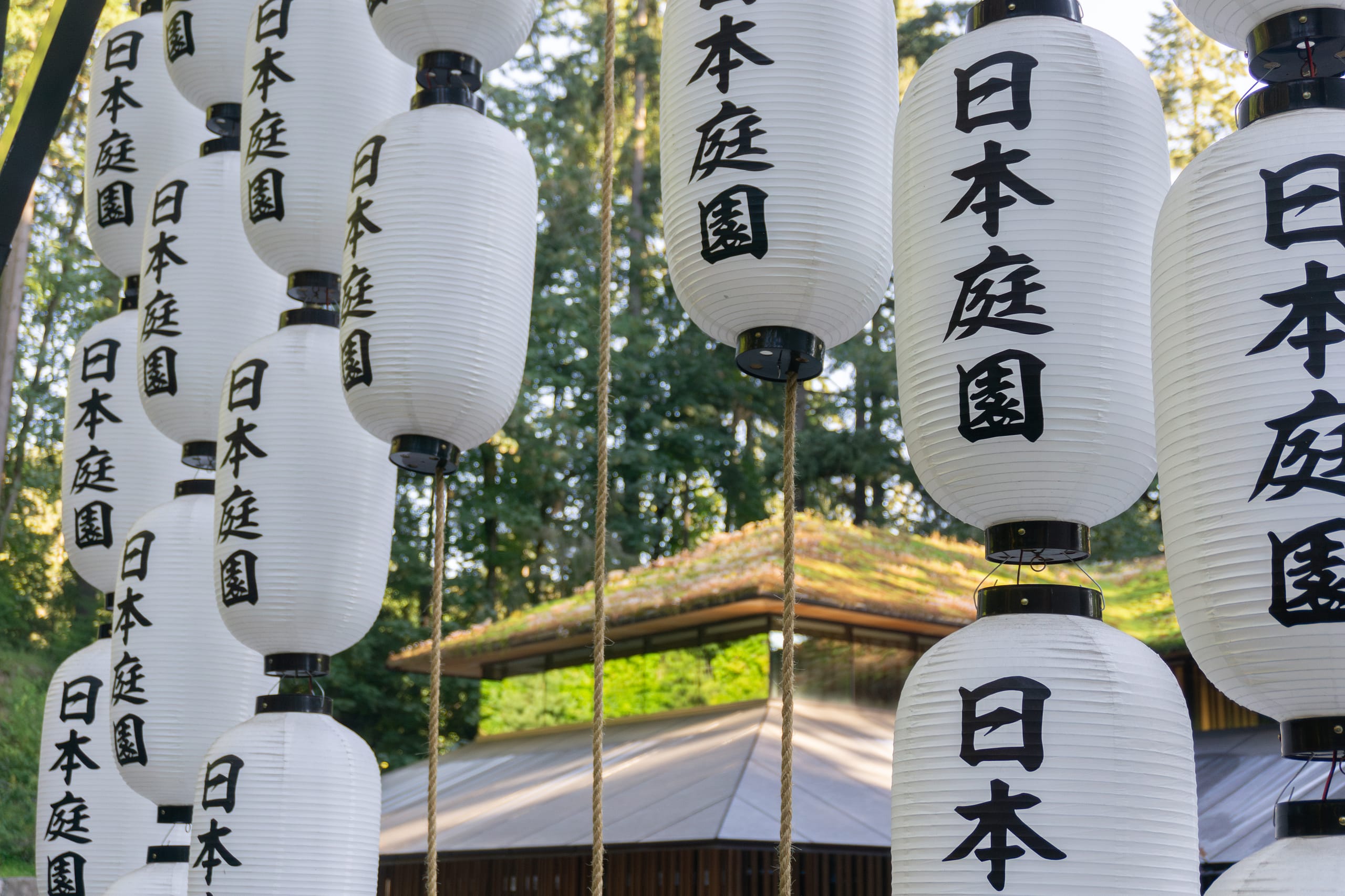 close up view of japanese garden lanterns hanging