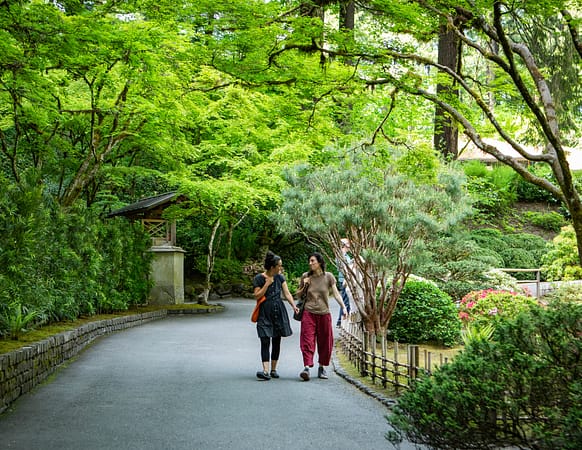 A wide shot of people walking down a path in a garden.
