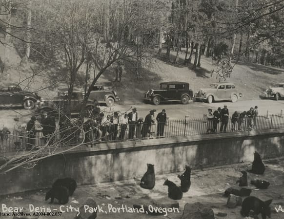 A black and white photo of the old Portland Zoo, specifically a bear pit where a waterfall today flows.