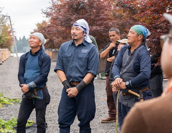 The Peace Lantern: Symbolizing Friendship and Casting the Light of