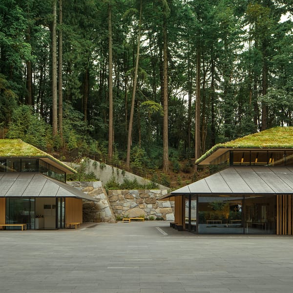 a couryard with building with green roofs