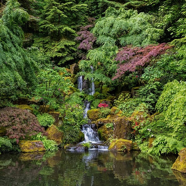 a waterfall