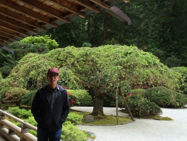 A man stands next to a weeping cherry tree.
