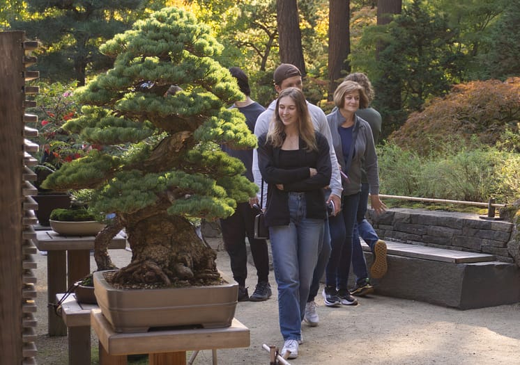 a young woman smiles as she looks at bonsai
