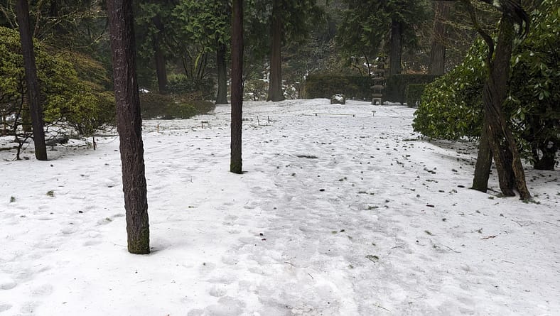 Ice and snow on a path in Portland Japanese Garden