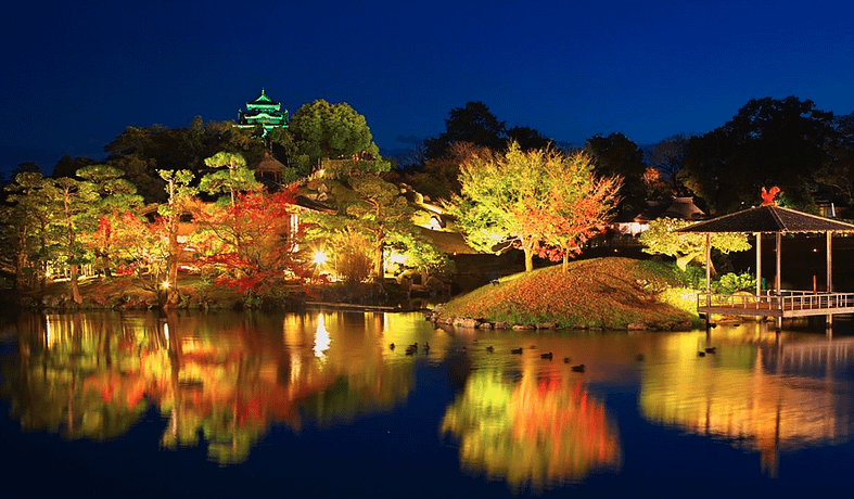 a garden lit up at night
