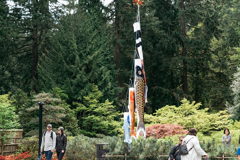 Carp streamers known as koinobori flying at Portland Japanese Garden.