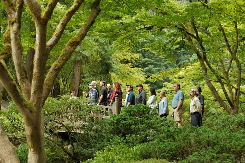 a group of people on a wooden bridge surrounded by lush greenery