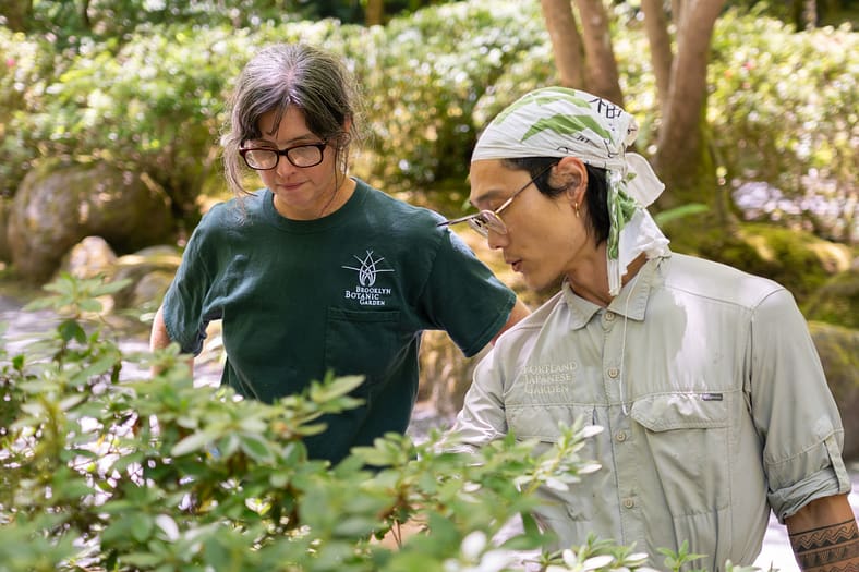 two gardeners in conversation, looking at shrub about to be pruned