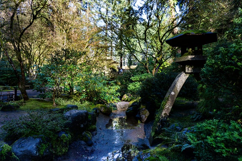 A stream bed is shown as flowing water has been stopped while repairs are made in a pond north of it.