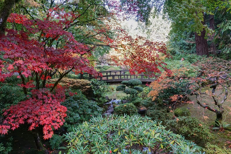 The moon bridge as seen in fall. Photo by Tyler Quinn