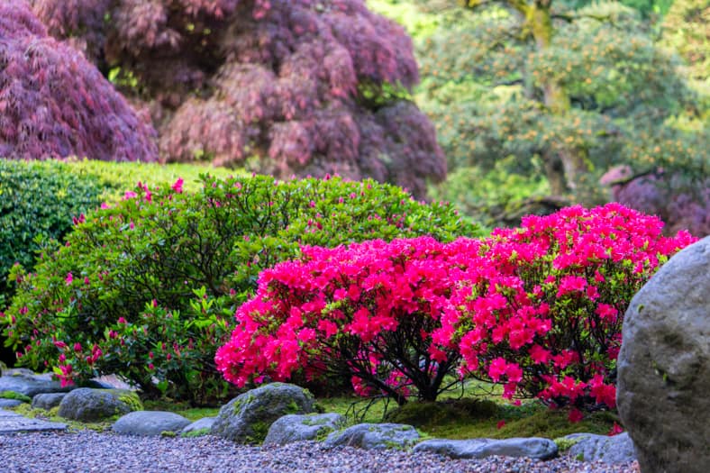 Extended Member Hours