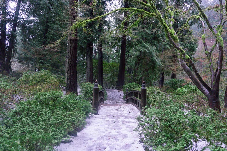 The Moon Bridge covered in ice