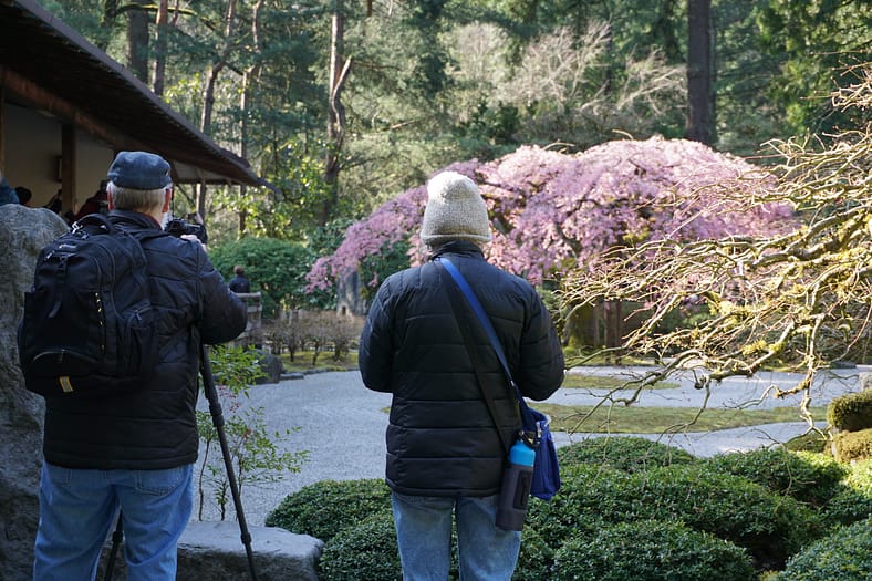 Photographers taking photo