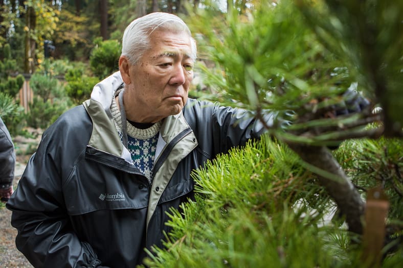 a man looking at a pine intensely