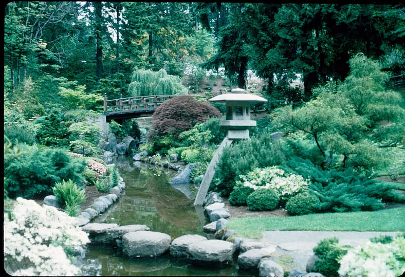 An older stepping stone footbridge in Portland Japanese Garden.