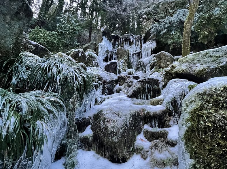 Frozen waterfall at Portland Japanese Garden