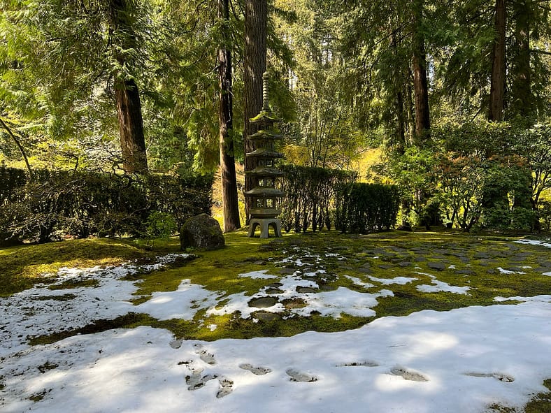 Snow on the moss near the Sapporo Pagoda Lantern in the Strolling Pond Garden. Photo by Portland Japanese Garden.