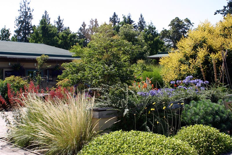 UBC_Botanical_garden_photo