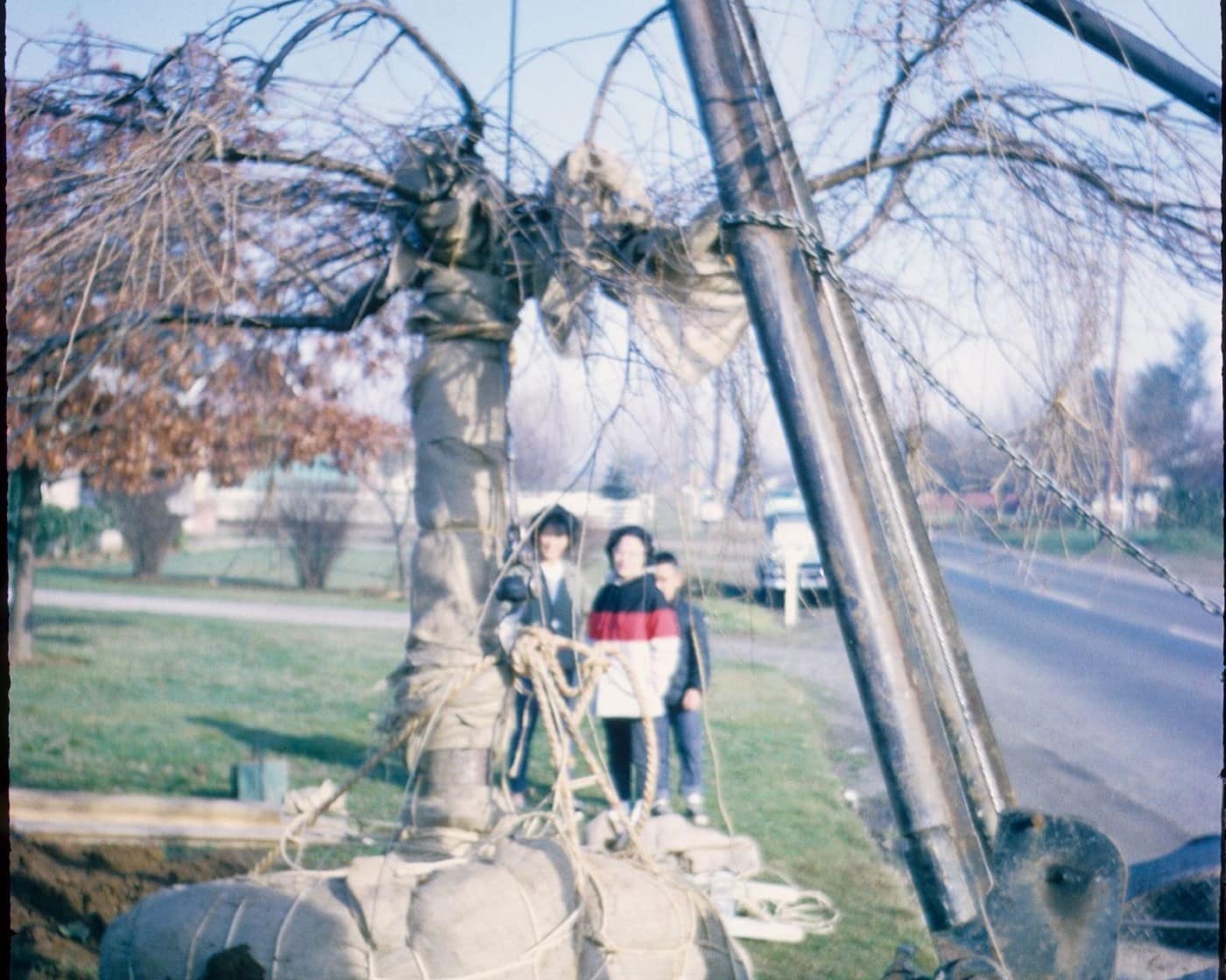 A blurry photo from the 1960s of a family standing behind a tree that's being removed from the ground